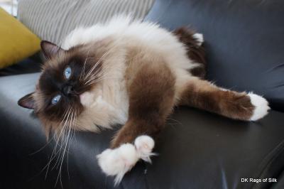 2 år